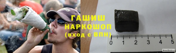 прущие грибы Богородицк