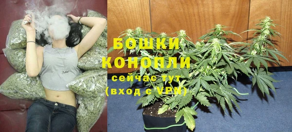 ешки Богородск