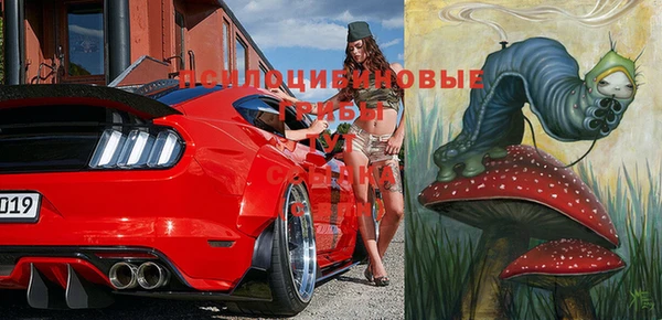 прущие грибы Богородицк