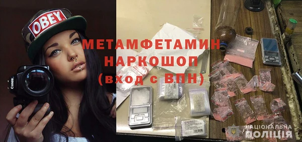 прущие грибы Богородицк