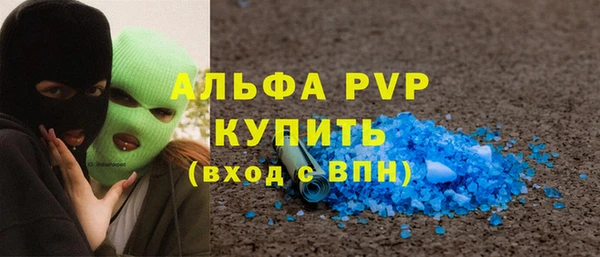 прущие грибы Богородицк