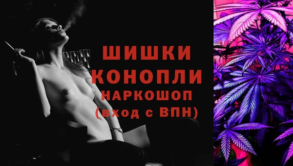 прущие грибы Богородицк