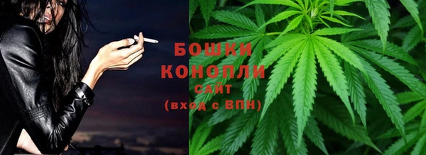 прущие грибы Богородицк